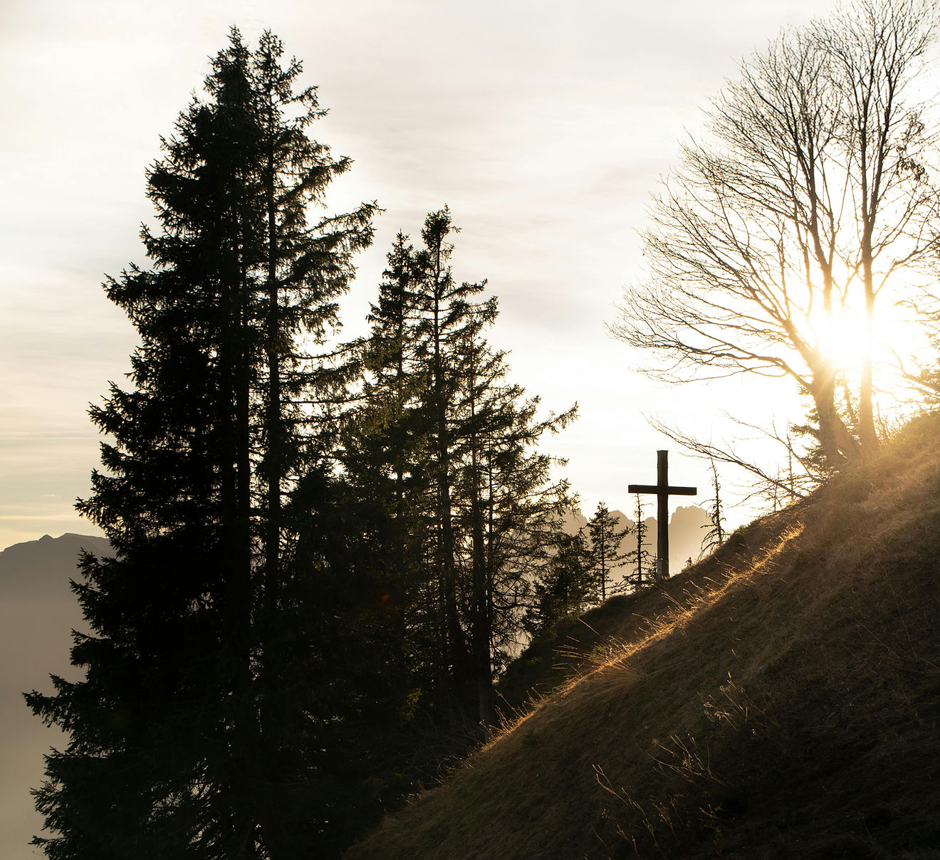 A wooden cross on a grassy hillside among evergreen trees, backlit by golden sunrise light